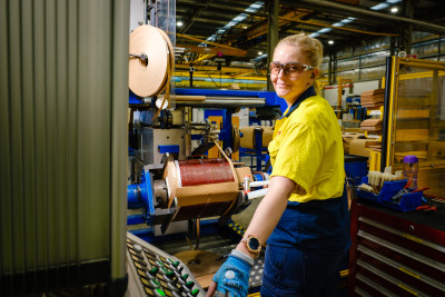 Wilson Transformers DALL8054 v2